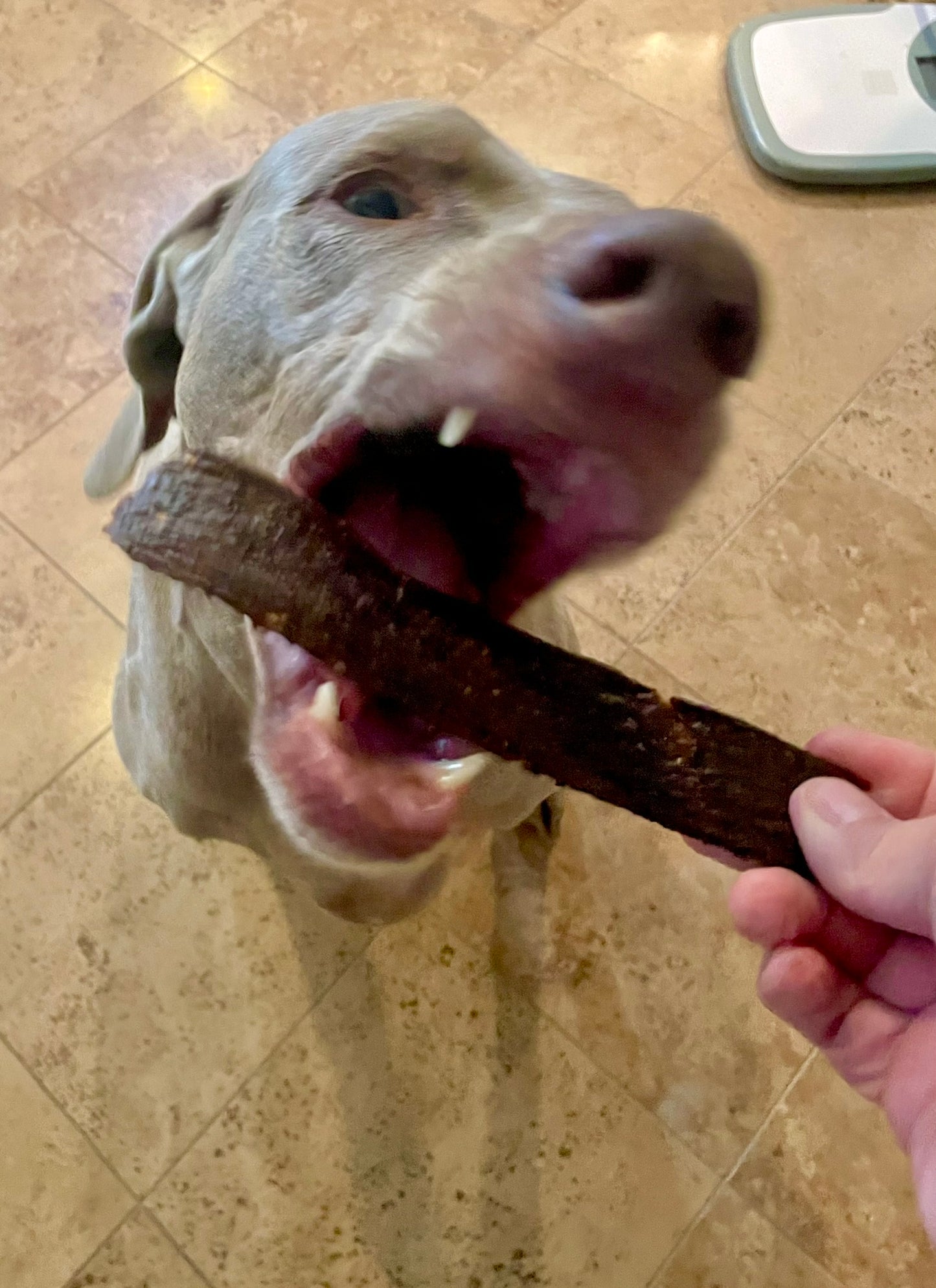 Duck Jerky Strips for Dogs & Cats