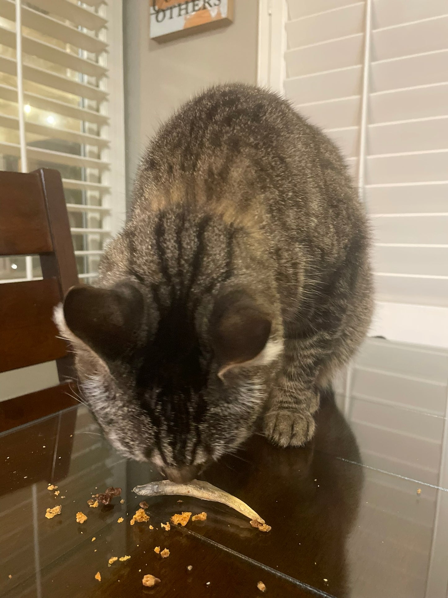 Smelt Fishies Snackers for Dogs & Cats